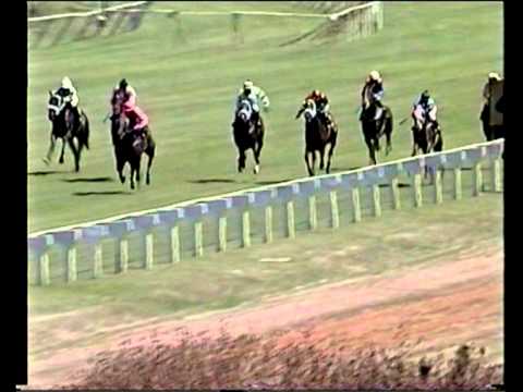 Borrowdale Park Race course 22 April 2012 Race2