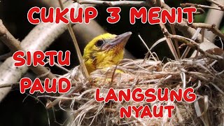 Download lagu Pancingan Sirtu Paud Jamin Nyaut‼️SCK Sadulur Cipoh Karawang mp3 Download lagu Pancingan Sirtu Paud Jamin Nyaut‼️SCK Sadulur Cipoh Karawang mp3