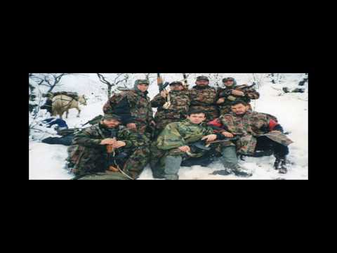 Gold AG - Lahi Brahimaj