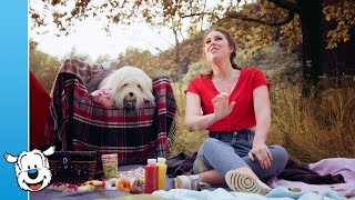 Samson &amp; Marie - Het Lachlied