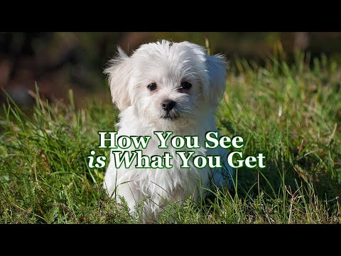 Quick Tip 440 - How You See is What You Get
