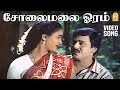 Solai Malai Ooram Video Song சோலைமலை ஓரம் Villu Pattukaran Ramarajan Ilaiyaraa