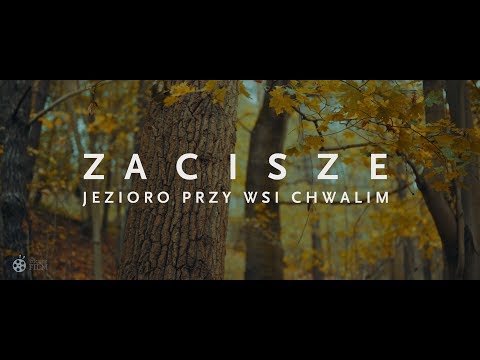 JEZIORO ZACISZE - gmina Kargowa 4K