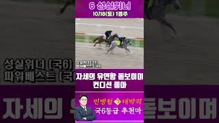 [서울 경마] 민병철 대박픽 2025년 10월 18일 토요 1R 두번째 추천마 #경마 #하이라이트 #한국마사회 #고배당 #검빛 #코리아