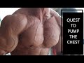 Far from Corona, a chest workout from the past with Flexing | SanMode