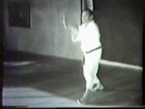 SANSEIRYU (front view) - UECHI Kanei