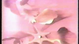 Pale Saints | Half-Life