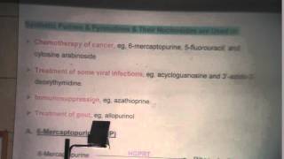 16) Dr Rasheed 4/8/2015 [Pyrimdine synthesis and Catabolism-Analogs used in chemotherapy ]
