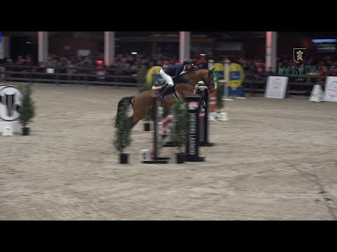 Tyson SH, OS, Hengst, v. Toulon- Mylord Carthago, gekört * 2018