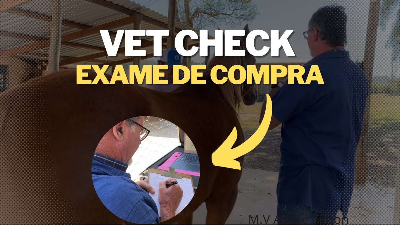 Vet check - Exame de compra em cavalos | M.V André Simon