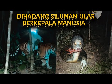 🔴 First time in history‼️Fighted by a human-headed demon in the middle of the forest ⁉️