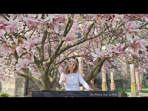 Un Piano Sur la Mer -  a romantic piano-interpretation under a Magnolia