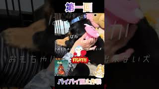 【しつけハプニング】第一回 バイバイ阻止作戦【らいむ夢中】