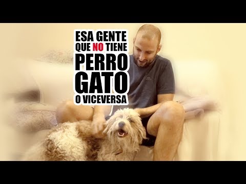 ESA GENTE QUE NO TIENE PERRO GATO O VICEVERSA