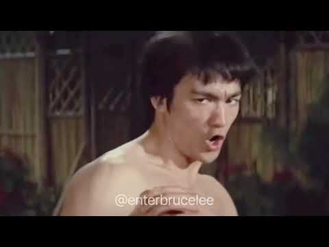 Bruce Lee “ The Art of Expressing the Human Body via Martial Arts “