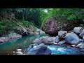 River Song Tranquility For Relaxation And Calm Sleep Relax Enjoy Life ASMR