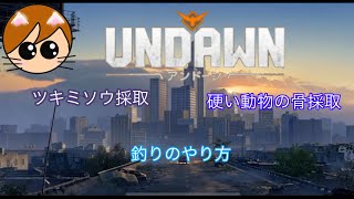 Undawn アンドーン　ツキミソウが採取出来る場所　砂漠にもあるけどここが安全だと思う