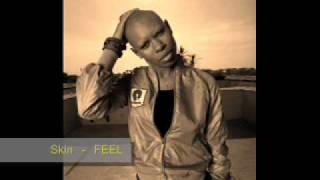 Skin (Skunk Anansie) - &quot;FEEL&quot;