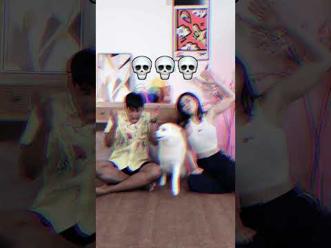 Flinch Test on Kaya gone wrong 🐶🐶