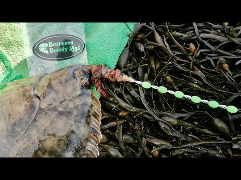 FLATFISH BLING RIG 💎💎💎