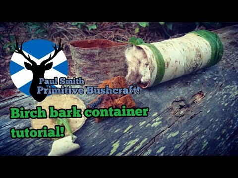 Birch bark container tutorial video
