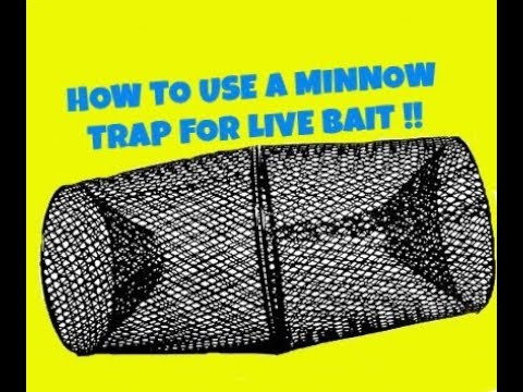 Minnow Trap for Live Bait