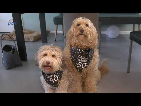 Wij zijn Peel en Maas: Harja Schrijver