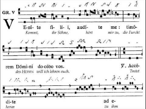 Graduale Venite filii, Dominica XIII TpA (13 TO)