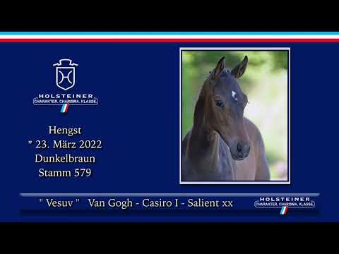 Holsteiner Elite-Fohlenauktion 2022 | Nr. 28 Vesuv