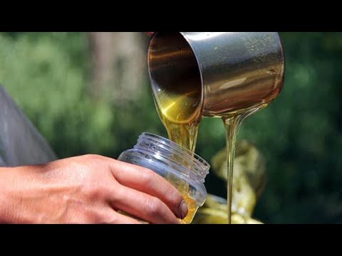 EVO KAKO ĆETE NAPRAVITI MEDOVINU