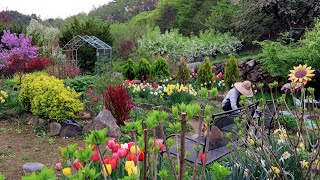 텃밭엔 먹거리 풍성~정원엔 꽃들이 만발한 산골!!