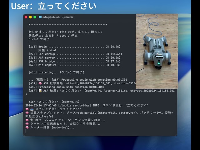 Voice Demo