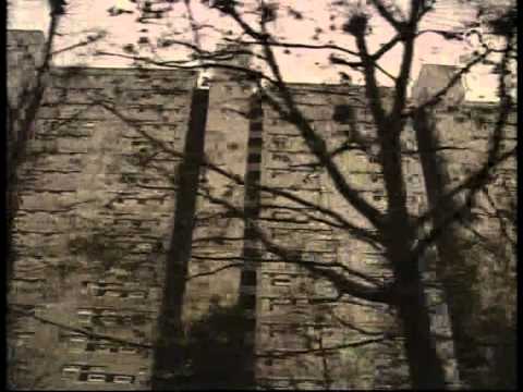 Ulrike Meinhof   Wege in den Terror