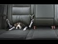 Best Car Commercials Ever Greatest Car Ads All Time The Used Car Guy