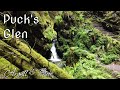 Puck's Glen - Dunoon - Scotland | 4K | DJI Mini2