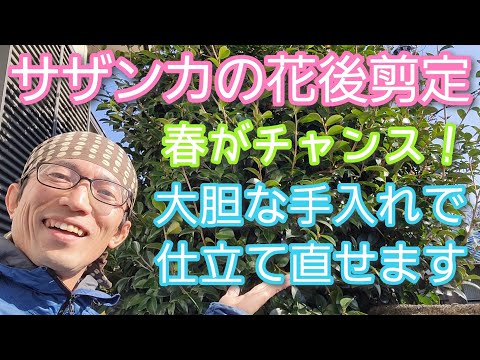 春に剪定する植物はどれですか？ 3月・4月に伐採する樹種は5群  庭園