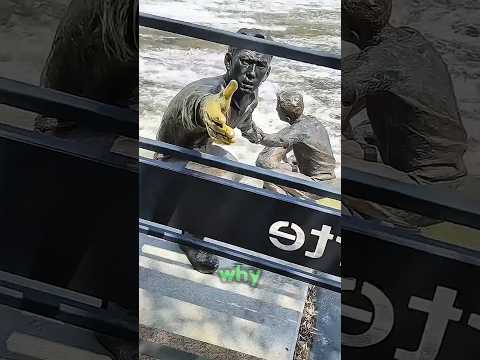 The human chain that saved a dog