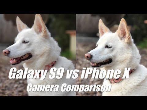 Samsung Galaxy S9 Plus vs iPhone X Camera Comparison