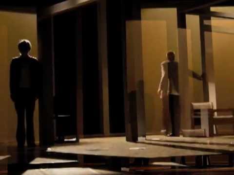 vai a vedere i gorilla