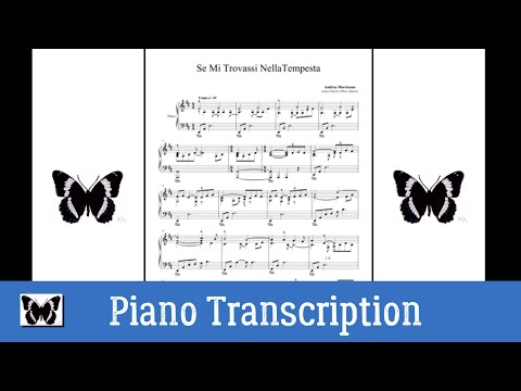Se Mi Trovassi NellaTempesta - Andrea Morricone