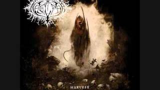Harvest - Naglfar (lyrics)