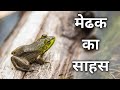 Medhak Ka Sahas Motivational Story Sahas Ki Vijay Sahas Kaise Badhaye Inspirational Story In Hindi