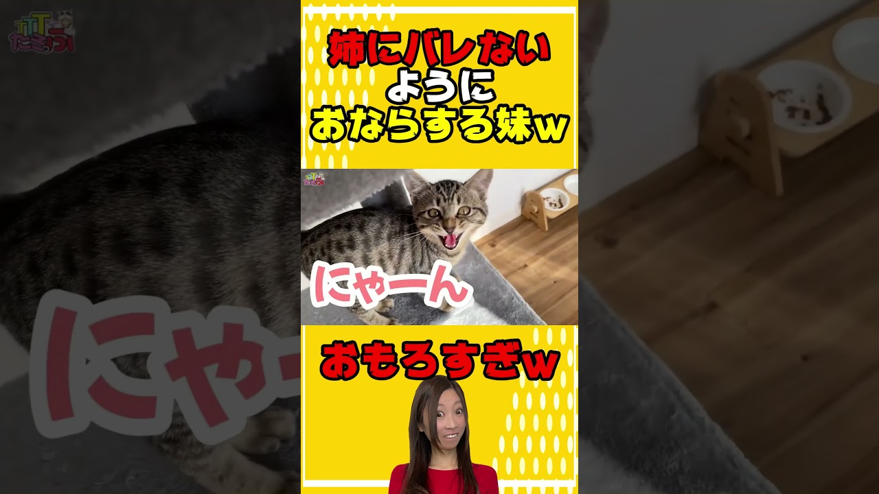 姉にばれないようにオナラをごまかす妹w #たろっぷ #歌ってみた#イタズラ