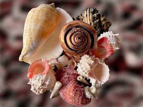 Seashell Casted in Copper, The Growing Stack