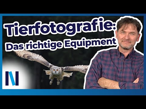 Tierfotografie: Welches Equipment brauchst Du für perfekte Fotos?