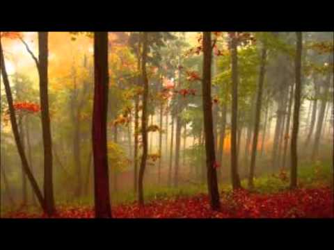 Christian Zechner & Lira Yin - Starclad (C Systems Intro Mix)