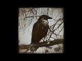 IL CORVO JOE - BAUSTELLE