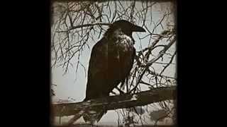 IL CORVO JOE - BAUSTELLE