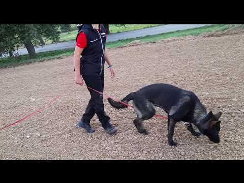 Ruby Rose Leryka- stopa 9/2020 (9 měsíců)