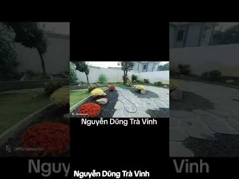 Thi công cảnh quan sân vườn